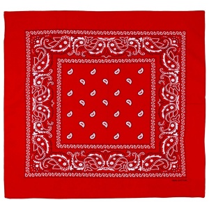 Bandana Tactica Paisley 55x55cm Rosie MFH - 2