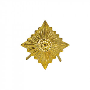 Insigna Grad OFFIZIER Stea Aurie RDG - Surplus Militar