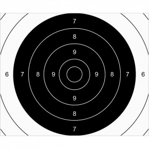 Set 100 Tinte Airsoft TS-2 PSP ISSF Centru 25x20cm
