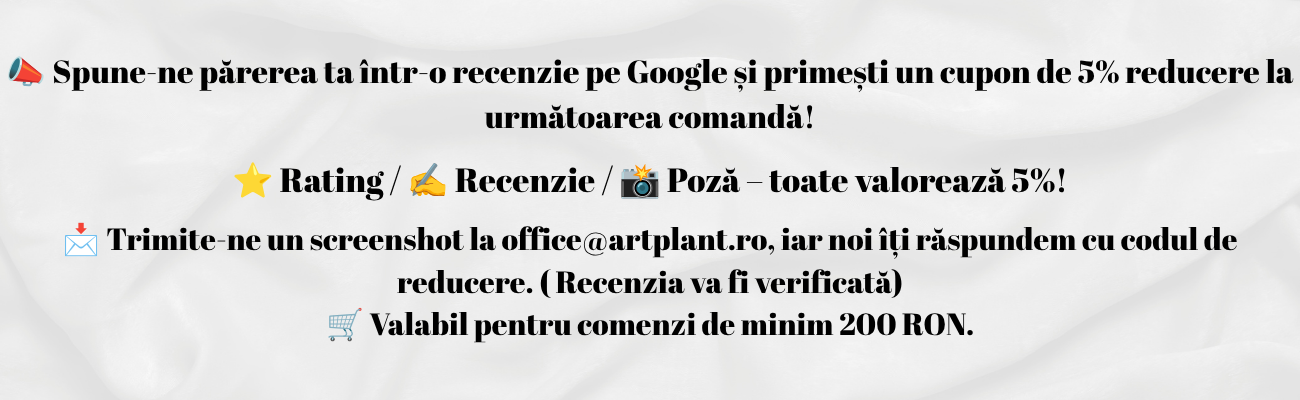 recenzie