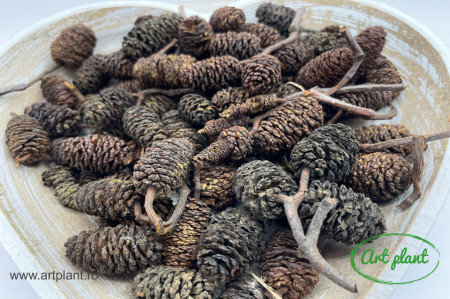 Conuri arin natural