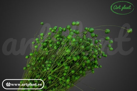 Lino (In) Verde Emerald