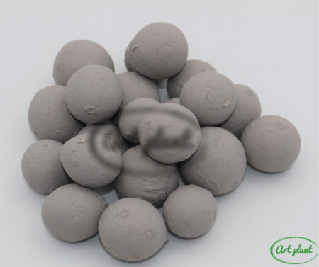Nuci macadamia gri