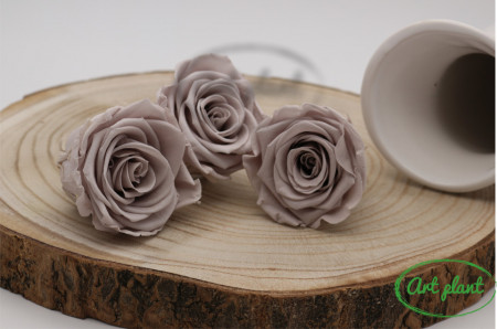 Trandafir criogenat Grey L
