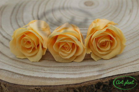 Trandafir criogenat Perfect Peach M