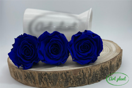 Trandafiri Criogenati XL Albastru Blu03