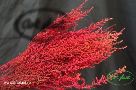 Stoebe Stabilizata Red
