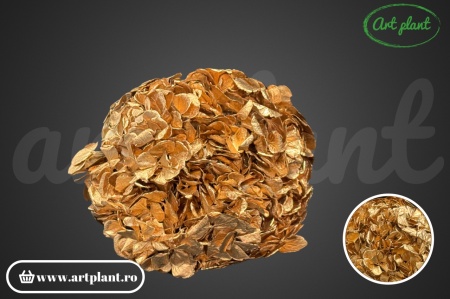 Hortensie Criogenata Metallic Gold XL
