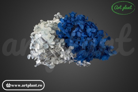 Mix Hortensie Stabilizată – Set cu 2 Culori Naturale