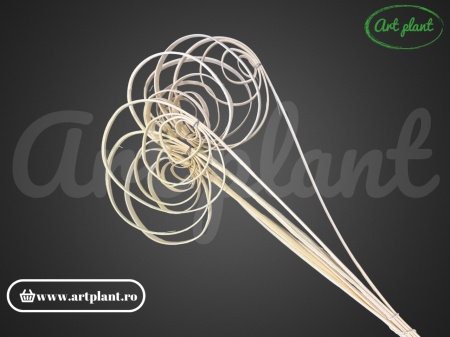 Fire cane îndoite – înălbite