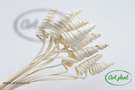Cane Cone Mini Albit