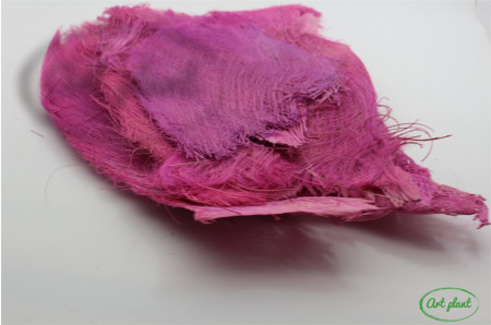 Fibra Palmier Roz