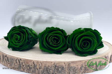 Trandafir criogenat Emerald Green XL