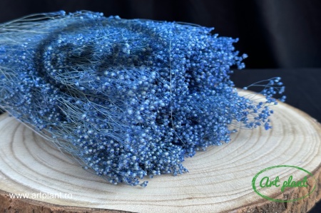 Broom Albastru Violet