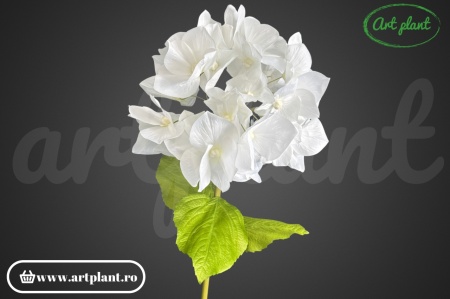 Hortensie artificială crem gigant – 130 cm