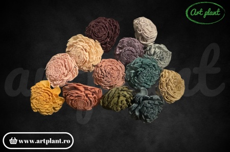 Mix flori lemn ming (sola) 4 cm