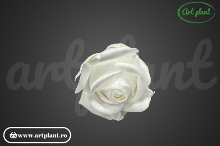 Miniroze Criogenate Pure White S