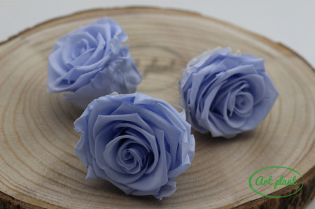 Trandafir criogenat Lavander Cool L