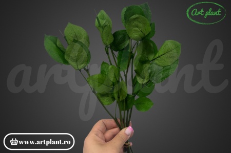 Tulpini stabilizate pentru trandafiri – Set de 5