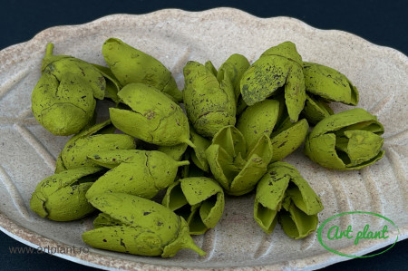 Bakuli vopsit verde