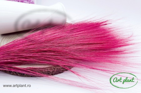 Iarba Barba Red
