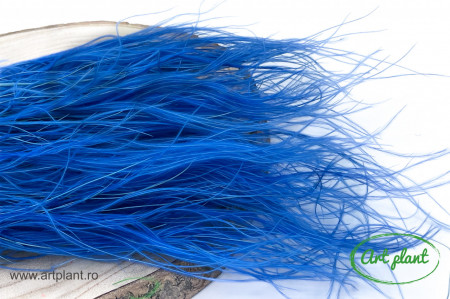 Stipa Albastra