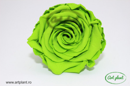 Trandafir Criogenat L Verde Neon Gre05