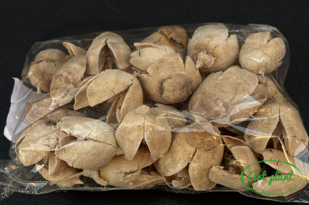 Bakuli alb/crem