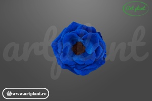 Anemonă stabilizată albastru regal