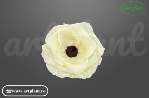 Anemonă stabilizată crem