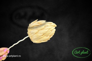 Artichoke stabilizat - Img 3