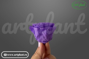 Buttercup Stabilizat Lila din Ecuador, Ø 4–4.5 cm • Înălțime 3–3.5 cm, 6 buc