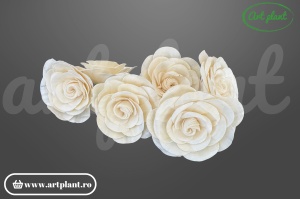Cap begonie sola 8 cm cu petale ondulate și asimetrice, floare decorativă naturală din lemn de sola