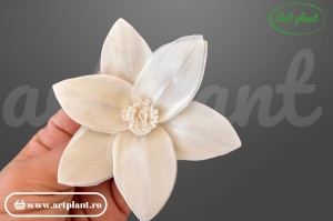 Capete crin star gazer sola 6 cm