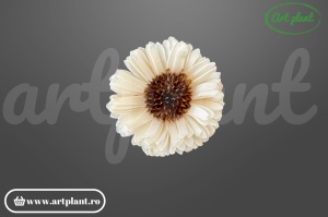 Cap floarea soarelui titonia sola 6 cm cu petale rotunjite compacte, floare decorativă din lemn de sola