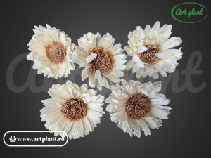 Capete flori ming