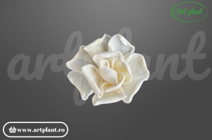 Capete Gardenie Sola– 4 cm