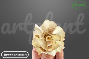 Cap garoafă bark sola 4 cm cu petale franjurate și textură rustic, floare decorativă din lemn de sola bark