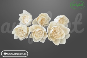 Cap lotus sola 8 cm cu petale conice în rânduri concentrice, floare decorativă zen din lemn de sola