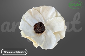 Cap mac sola 10 cm cu petale fine și delicate, floare decorativă eterică din lemn de sola
