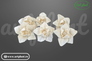 Cap magnolie stelată sola 8 cm cu petale alungite în formă de stea, floare decorativă din lemn de sola