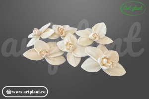 Cap orhidee old sola 8 cm model clasic cu petale largi, floare decorativă tropicală din lemn de sola
