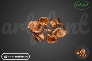 Ciuperci uscate bronz & glitter