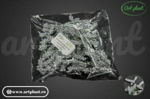 Coacăze ornamentale argintii glitter - Img 2