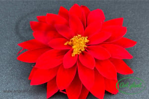 Dalia Criogenata Rosu Red02