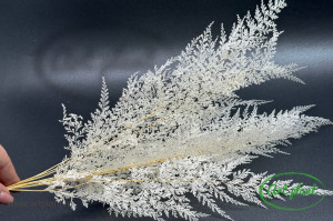 Feriga lace alb / crem - Img 4