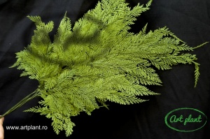 Feriga Tabalia Verde - Img 3