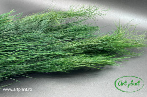 Ferigă Tree Tiki Criogenată Green - Img 1