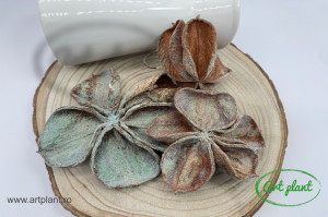 Flori uscate land lotus glitter verde