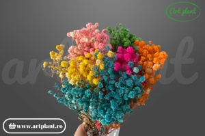Gypsophila Rainbow criogenată multicolor, buchet 100-130g, amestec de culori vii pentru petreceri și cadouri originale